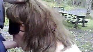 Nice picnic
